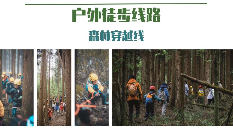 四川雅安野生大熊猫探秘夏令营：户外徒步森林穿越线