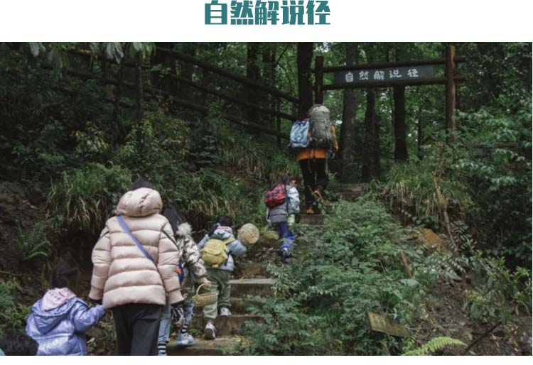 四川雅安野生大熊猫探秘夏令营：户外徒步自然解说径