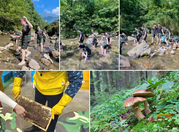 重庆夏令营：金佛山自然科普研学营