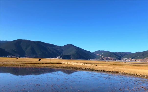 香格里拉旅游景点-纳帕海