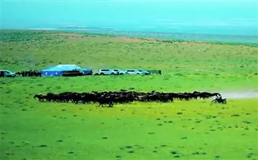 内蒙古旅游：敕勒川草原景区