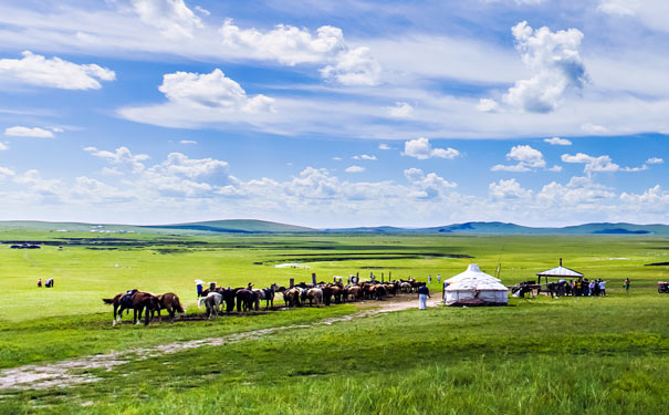 内蒙古草原景色
