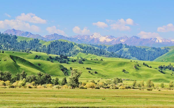 新疆伊犁-那拉提大草原