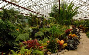 新西兰：汉密尔顿花园