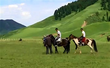 新疆旅游：托木尔森林公园