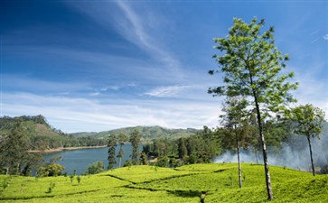 斯里兰卡旅游：努瓦埃利亚格雷戈里湖