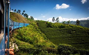 斯里兰卡旅游：努瓦埃利亚茶园火车