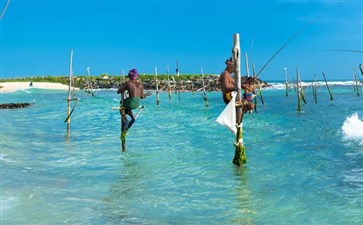 斯里兰卡旅游：南部海滨高跷渔夫