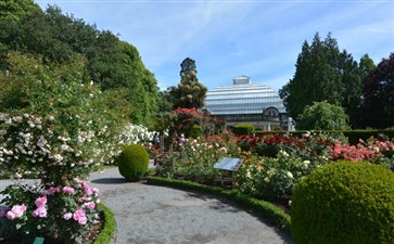 新西兰旅游：基督城植物园