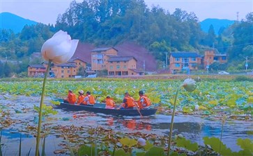 武隆大田湿地人家