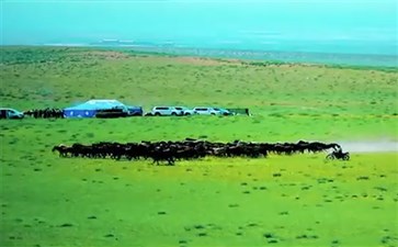 内蒙古鄂尔多斯敕勒川-重庆到内蒙古旅游