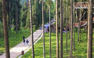 天台山肖家湾