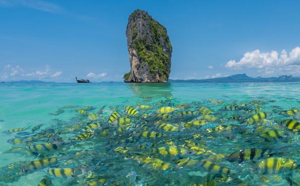 泰国旅游：甲米poda海滩