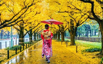 日本旅游：东京皇居外苑二重桥秋季