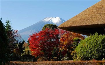 日本旅游：富士山忍野八海秋景