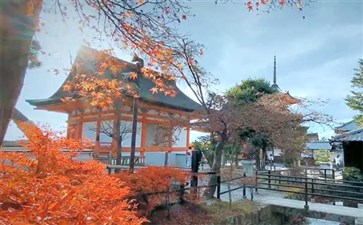 日本旅游：京都清水寺秋季红叶