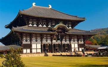 日本旅游：奈良鹿公园东大寺秋季