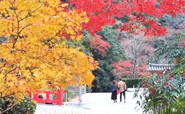 日本旅游：大阪箕面公园秋季美景