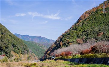 日本旅游：京都岚山嵯峨野秋景