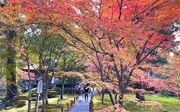 日本旅游：京都三千院红叶