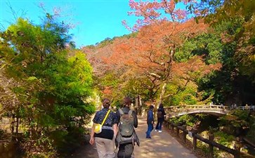 日本旅游：大阪箕面公园秋季景色