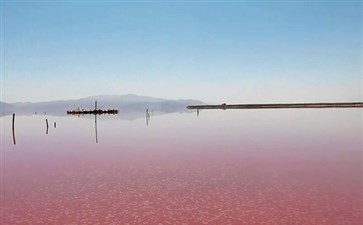 伊朗旅游：设拉子马哈尔卢盐湖粉红盐湖