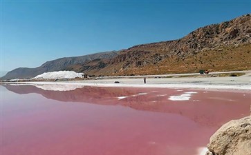 伊朗旅游：设拉子马哈尔卢盐湖粉红盐湖