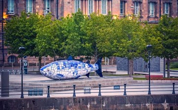 英国旅游：贝尔法斯特大马哈鱼雕像