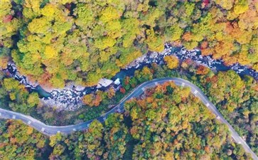 米仓山国家森林公园秋季红叶