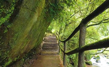 雅安碧峰峡景区