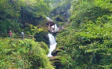 雅安碧峰峡景区