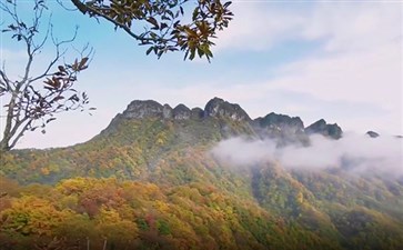 光雾山贾郭山秋季红叶