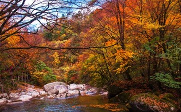 光雾山景区秋季红叶