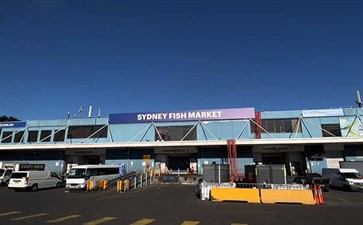 澳大利亚旅游：悉尼鱼市场