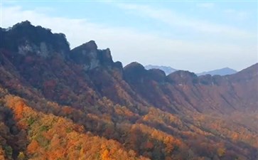 光雾山旅游：米仓山国家森林公园贾郭山秋叶