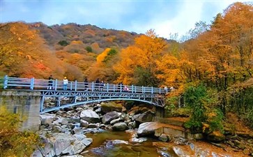 光雾山旅游：米仓山国家森林公园黑熊沟秋叶