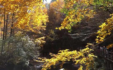 光雾山旅游：十八月潭秋景