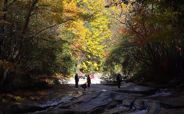 光雾山旅游：十八月潭秋景