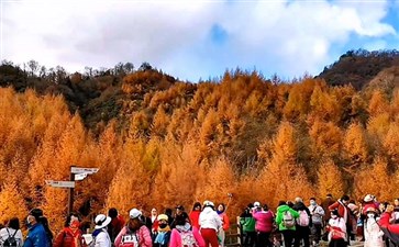 米仓山国家森林公园天然画廊秋季红叶