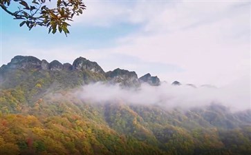 米仓山国家森林公园贾郭山秋季红叶
