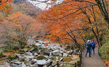 米仓山国家森林公园黑熊沟秋季红叶
