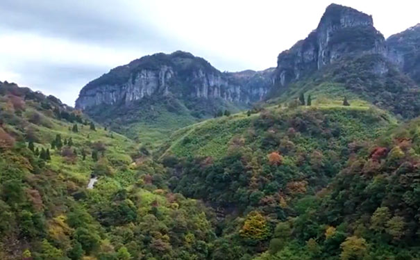 10月重庆周边旅游推荐：金佛山