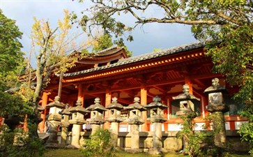 日本旅游：奈良鹿公园春日大社秋季
