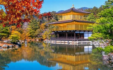 日本旅游：京都金阁寺红叶