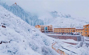 阿拉山温泉雪景