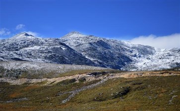 新都桥雪景