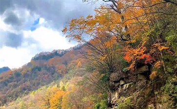 光雾山大坝景区：大小兰沟秋季红叶