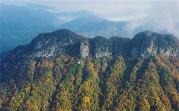 光雾山大坝景区秋季红叶