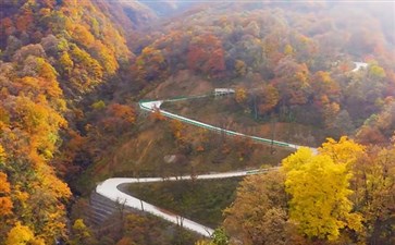 龙头山景区秋季彩林