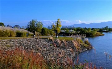 天汉湿地公园秋季景色